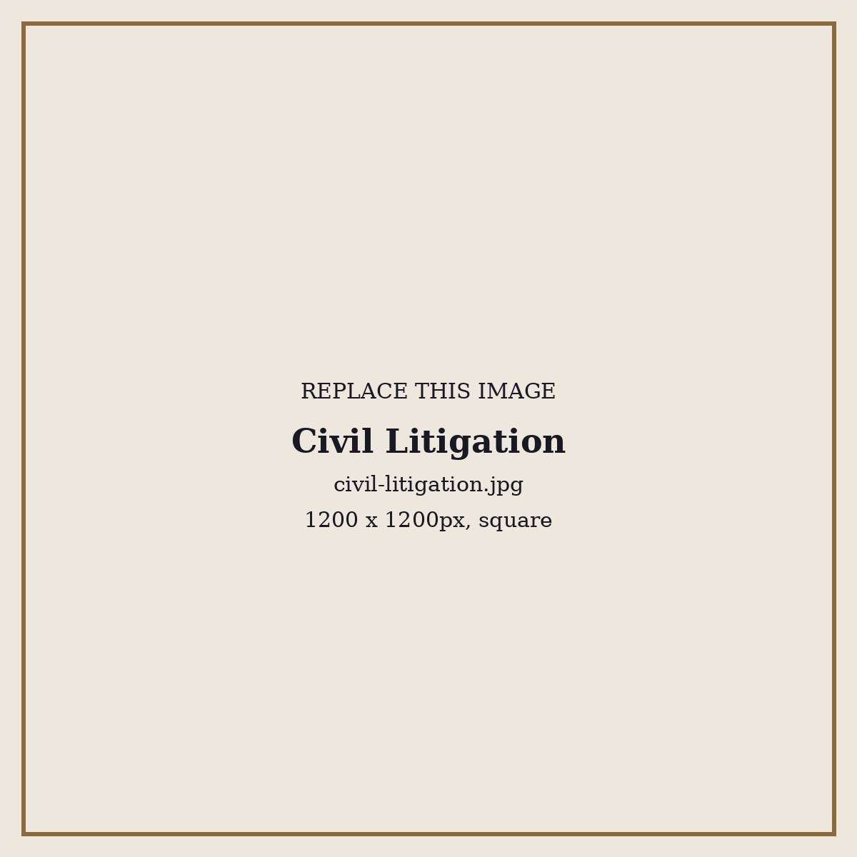 Civil litigation - Shahinshah Hussain Kulachi, Associates and Legal Consultants
