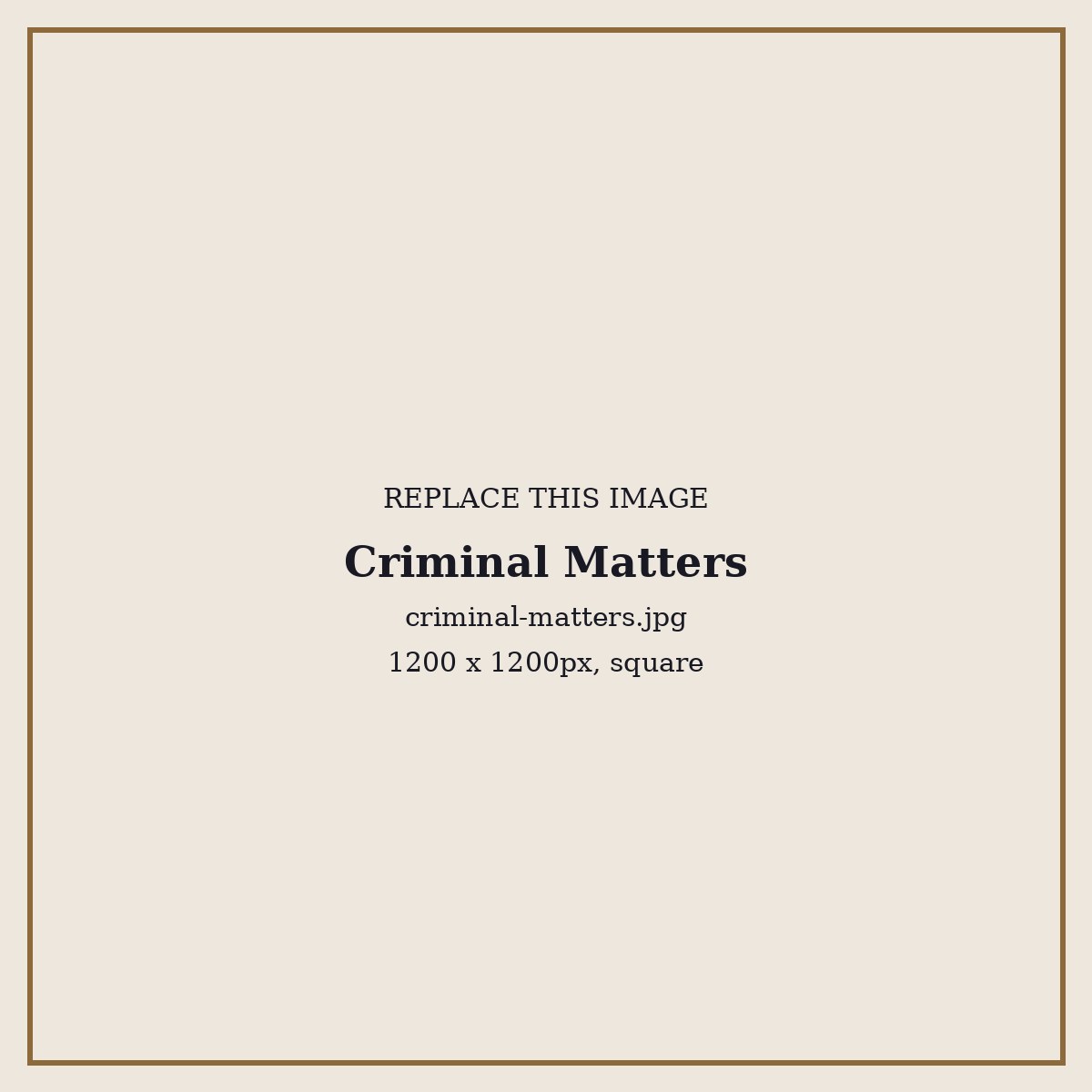 Criminal matters - Shahinshah Hussain Kulachi, Associates and Legal Consultants